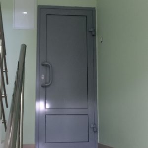 Глухая входная алюминиевая дверь